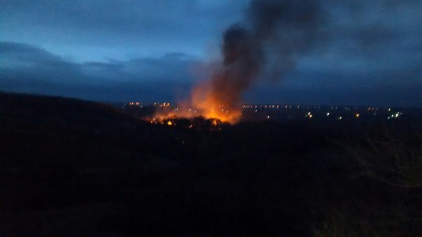 В Хортицком районе масштабный пожар: горит балка (Фото)
