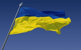 Житель Запорожской области надругался над украинским флагом
