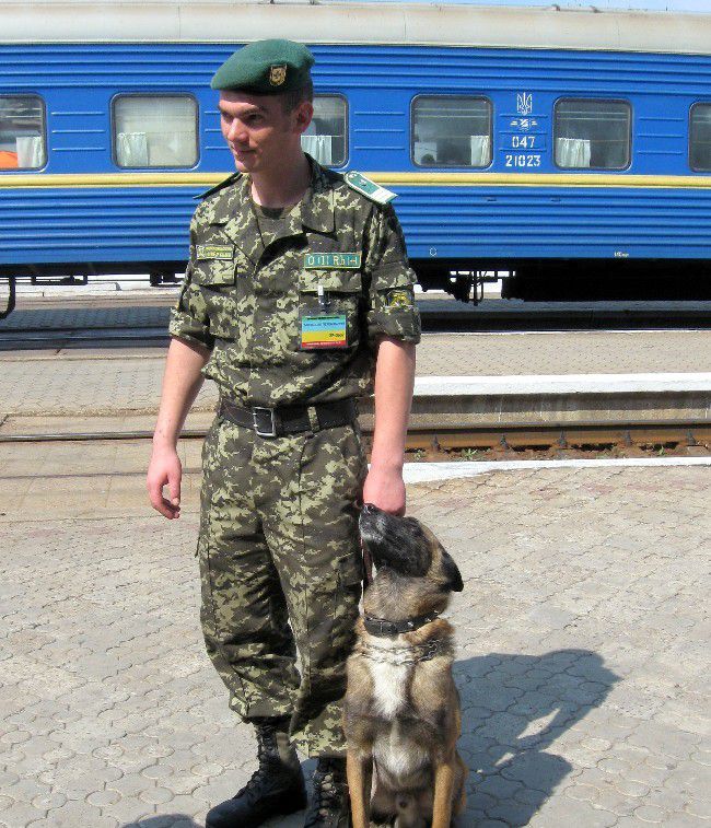 В Мелитополе четвероногим пограничникам презентовали подарки