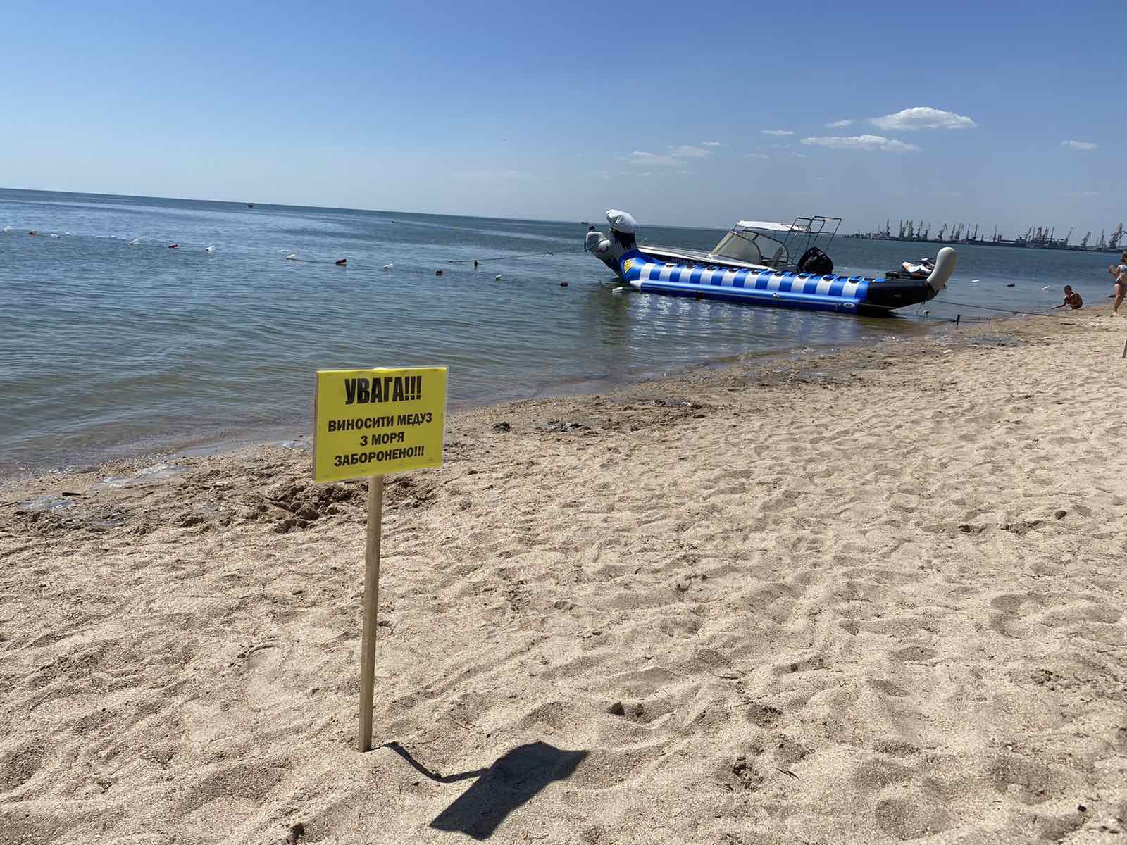 В Бердянске отдыхающим запретили выносить с моря медуз и закапывать